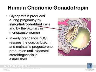 Chorionic Gonadotropin